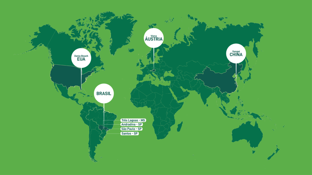 Nuestra celulosa en el mundo